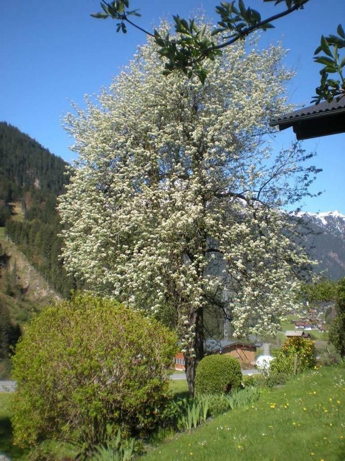 Apartament Haus Gant St. Gallenkirch Zewnętrze zdjęcie